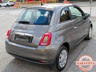 FIAT 500 usata 50