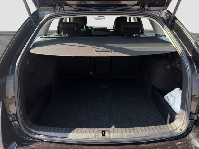 SKODA Octavia usata 13