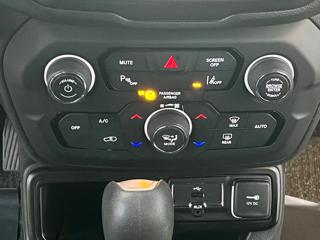 JEEP Renegade usata, con Cruise Control
