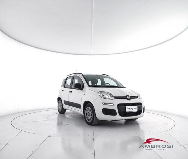 FIAT Panda usata 1