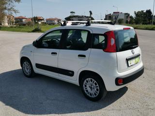 FIAT Panda usata, con Controllo trazione