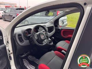 FIAT Panda usata, con Fendinebbia