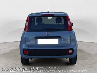 FIAT Panda usata 3