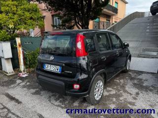 FIAT Panda usata, con Airbag