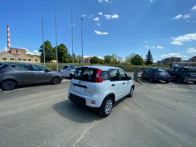 FIAT Panda usata 18
