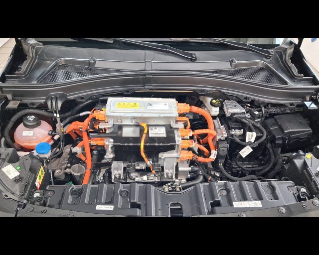 FIAT Grande Panda usata, con Riconoscimento dei segnali stradali