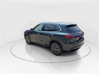 GEELY Starray EM-i usata 4