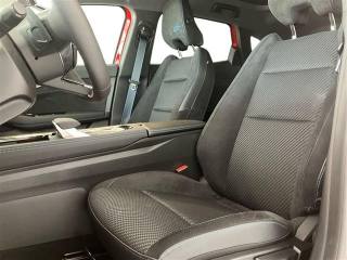 RENAULT Austral usata, con Fendinebbia