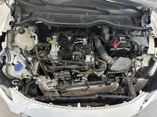 FORD Fiesta usata, con Controllo trazione