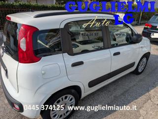 FIAT Panda usata, con Servosterzo