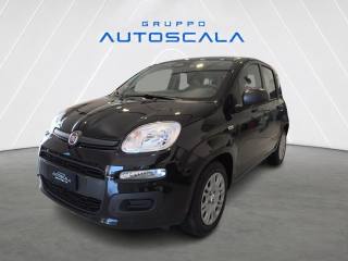 FIAT New Panda Pandina 1.0 FireFly 65 CV Hybrid Icon