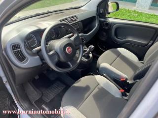 FIAT Panda usata, con Chiusura centralizzata