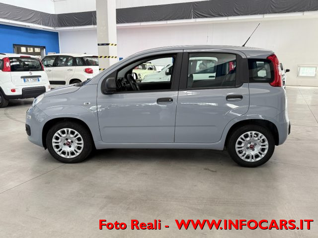 FIAT Panda usata 16