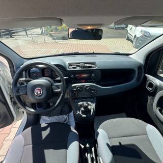FIAT New Panda usata, con Immobilizzatore elettronico