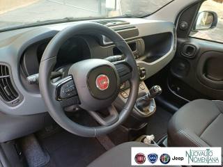 FIAT Panda usata, con Chiusura centralizzata telecomandata