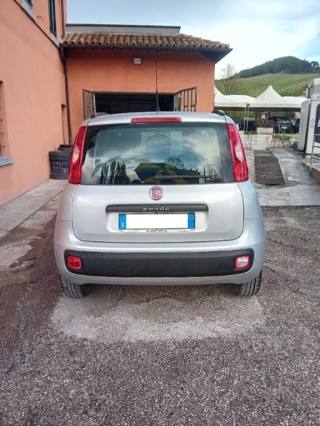 FIAT Panda usata, con Controllo trazione