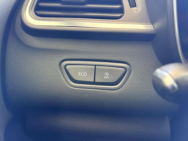 RENAULT Kadjar usata, con Cruise Control