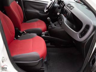FIAT Panda usata 30