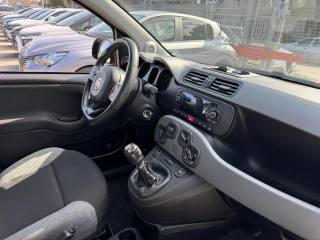 FIAT Panda Cross usata, con Controllo automatico clima