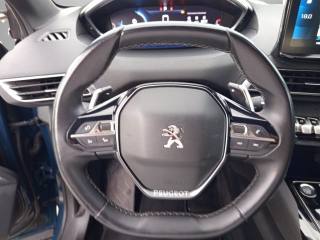 PEUGEOT 3008 usata, con Servosterzo