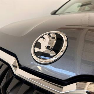 SKODA Karoq usata, con Specchietti laterali elettrici