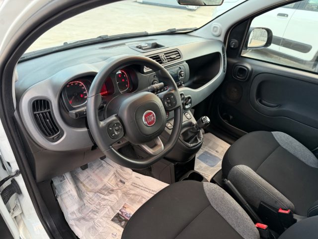 FIAT Panda usata, con Airbag testa