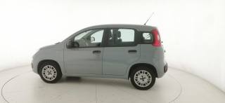 FIAT Panda usata 23