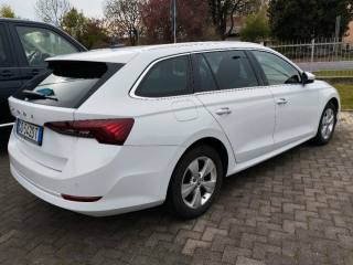 SKODA Octavia usata, con Airbag Passeggero