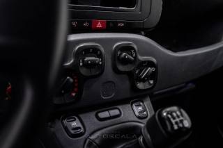 FIAT New Panda usata 10