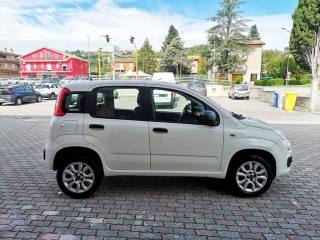 FIAT Panda usata, con Chiusura centralizzata