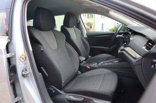 SKODA Octavia usata 141
