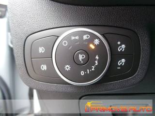 FORD Fiesta usata, con Controllo elettronico della corsia
