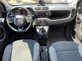 FIAT Panda usata, con Volante multifunzione