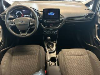 FORD Fiesta usata, con Cronologia tagliandi