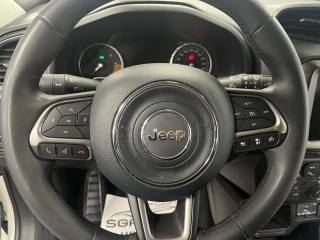 JEEP Renegade usata, con Cruise Control