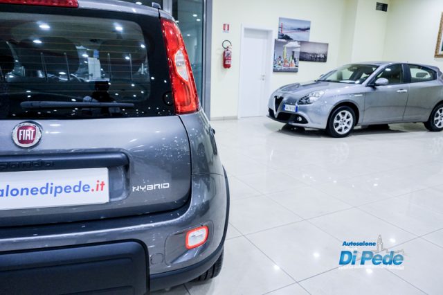 FIAT Panda usata, con Immobilizzatore elettronico