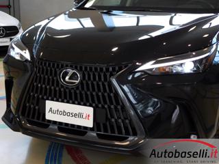 LEXUS NX 300h usata, con Bracciolo