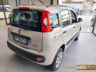 FIAT Panda usata, con Climatizzatore