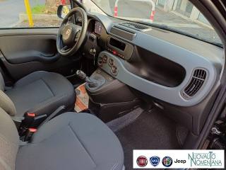 FIAT Panda usata, con Airbag testa