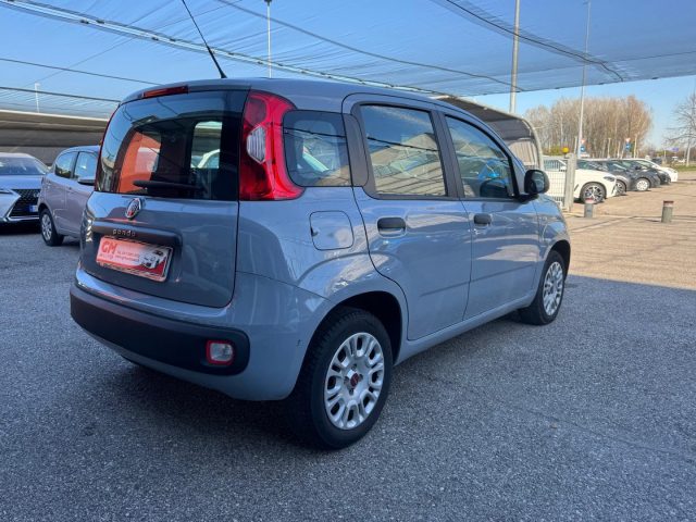 FIAT Panda usata, con Alzacristalli elettrici