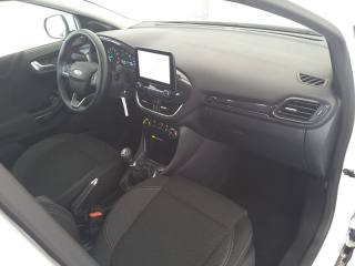 FORD Puma usata, con Cronologia tagliandi
