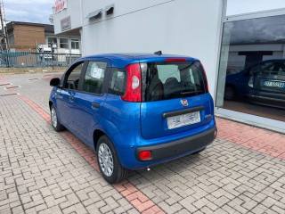 FIAT Panda usata, con Alzacristalli elettrici