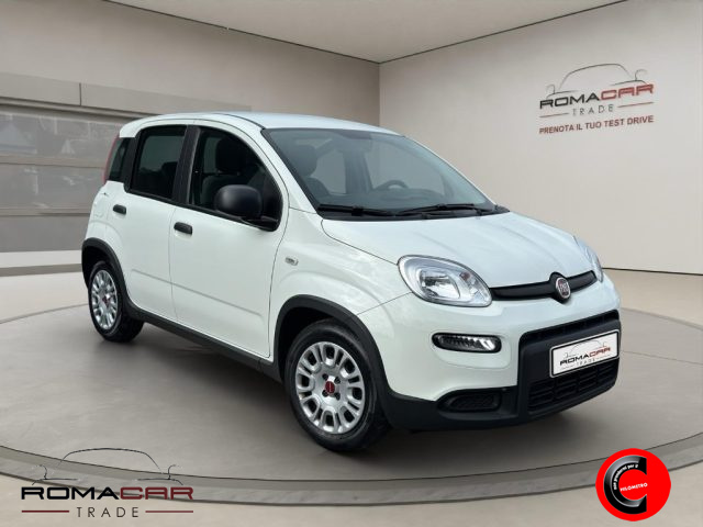 FIAT Panda usata, con Airbag Passeggero
