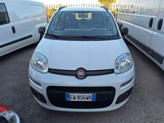 FIAT Panda usata 8
