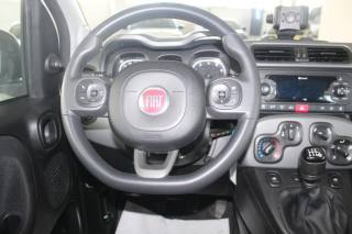 FIAT Panda usata, con Fendinebbia