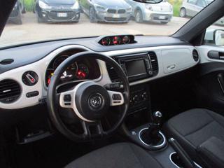 VOLKSWAGEN Maggiolino usata, con Adaptive Cruise Control