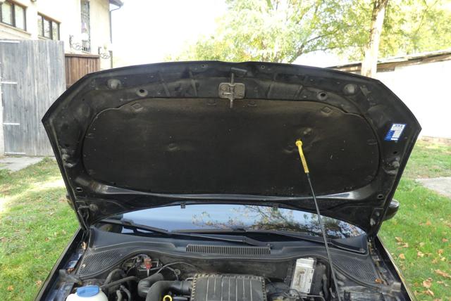 VOLKSWAGEN Polo usata 37
