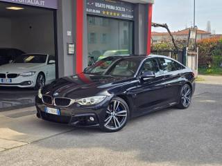 BMW 420 usata, con Fendinebbia