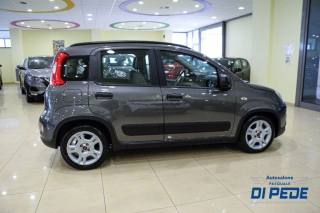 FIAT Panda usata, con Antifurto