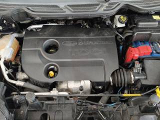 FORD EcoSport usata 23